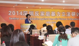 Shenzhen domestic violence conference